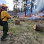 Blazing Tragedy at the Canyon: Beloved Historic Lodge Razed by Dragon Bravo Wildfire!